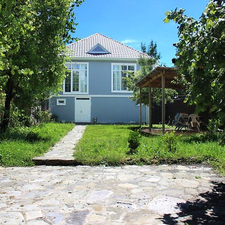 Soft Villa Gabala Eksteriør billede